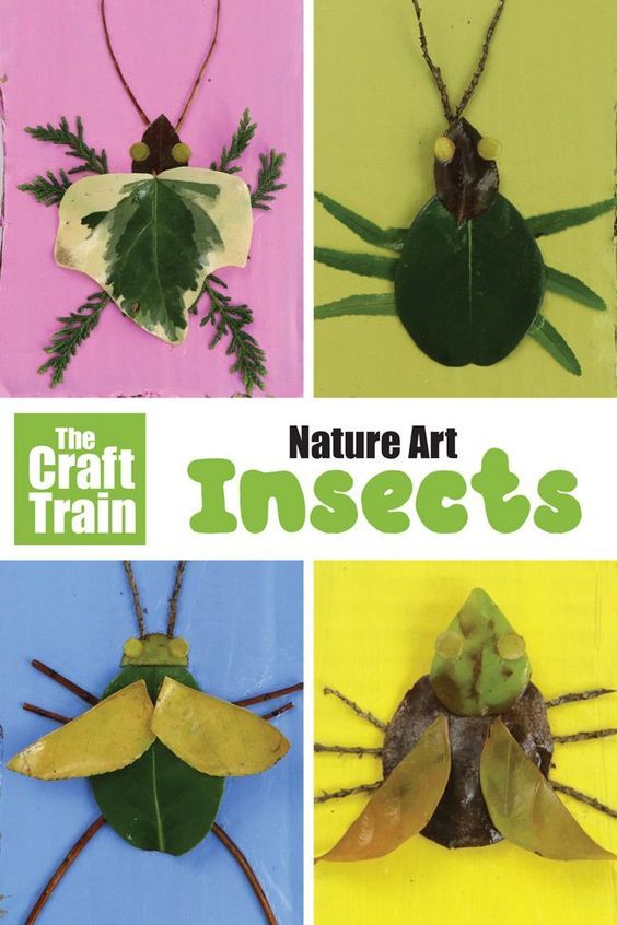 Nature Art insects