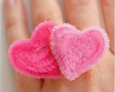 Pipe Cleaner Ring 