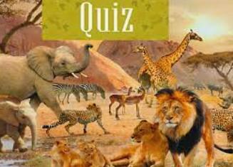 African Animal Trivia 